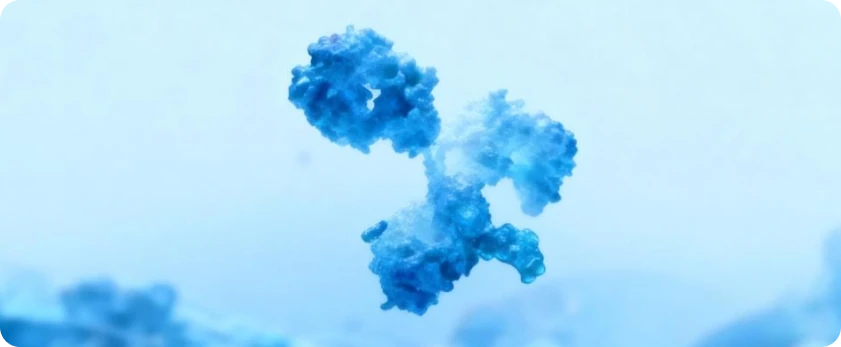 Recombinant Proteins for Organoid Culture